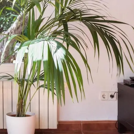 Villa Xalina - Piscina / Bbq / Jardin