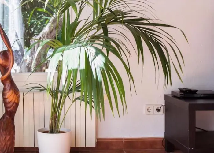 Vila Xalina - Piscina / Bbq / Jardin